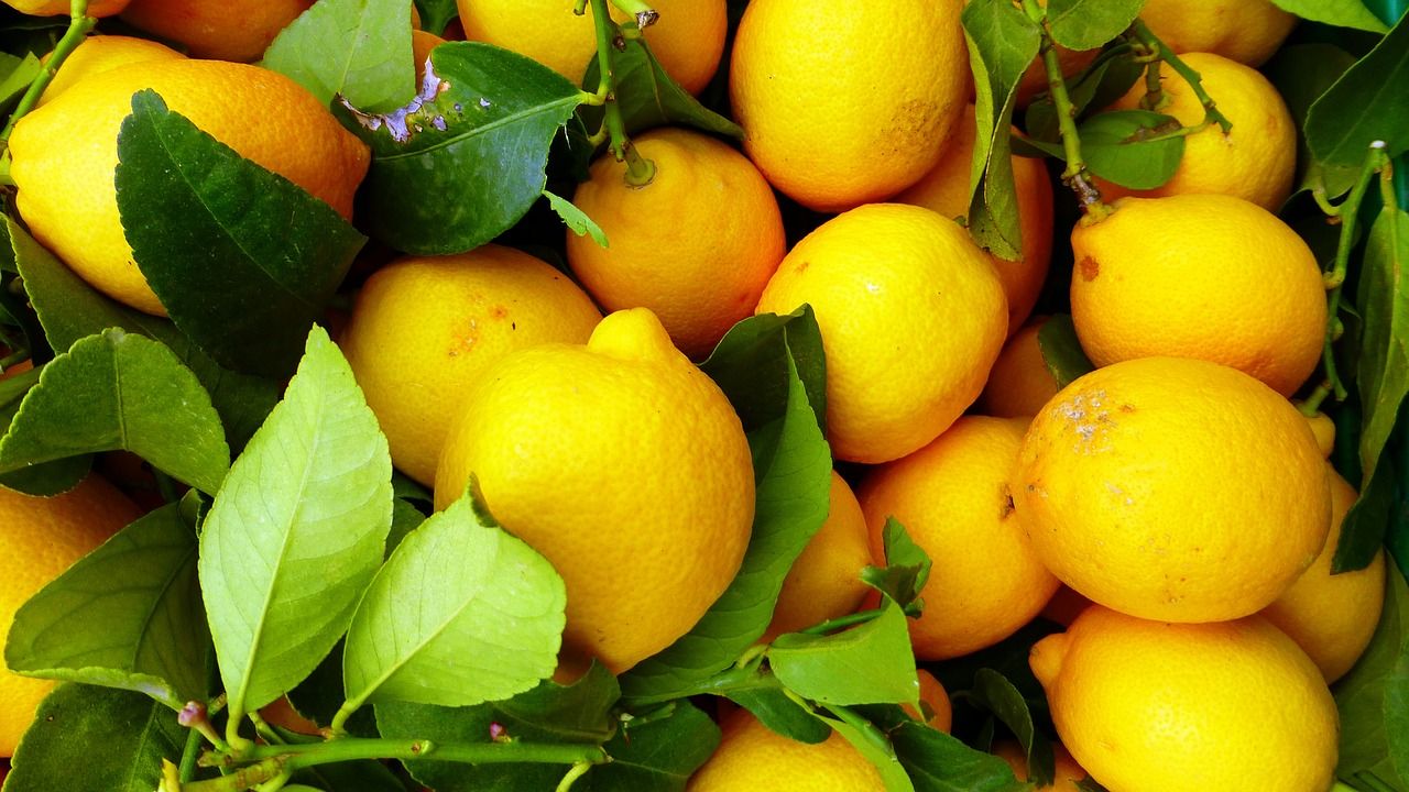 Le citron : un agrume bienfaiteur 